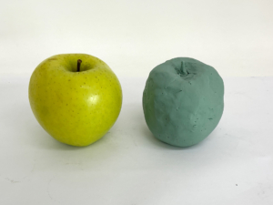 低学年クラス「油粘土で野菜作り」3年生の作品