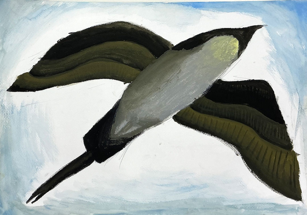 ５年生の作品「オナガの水彩画」